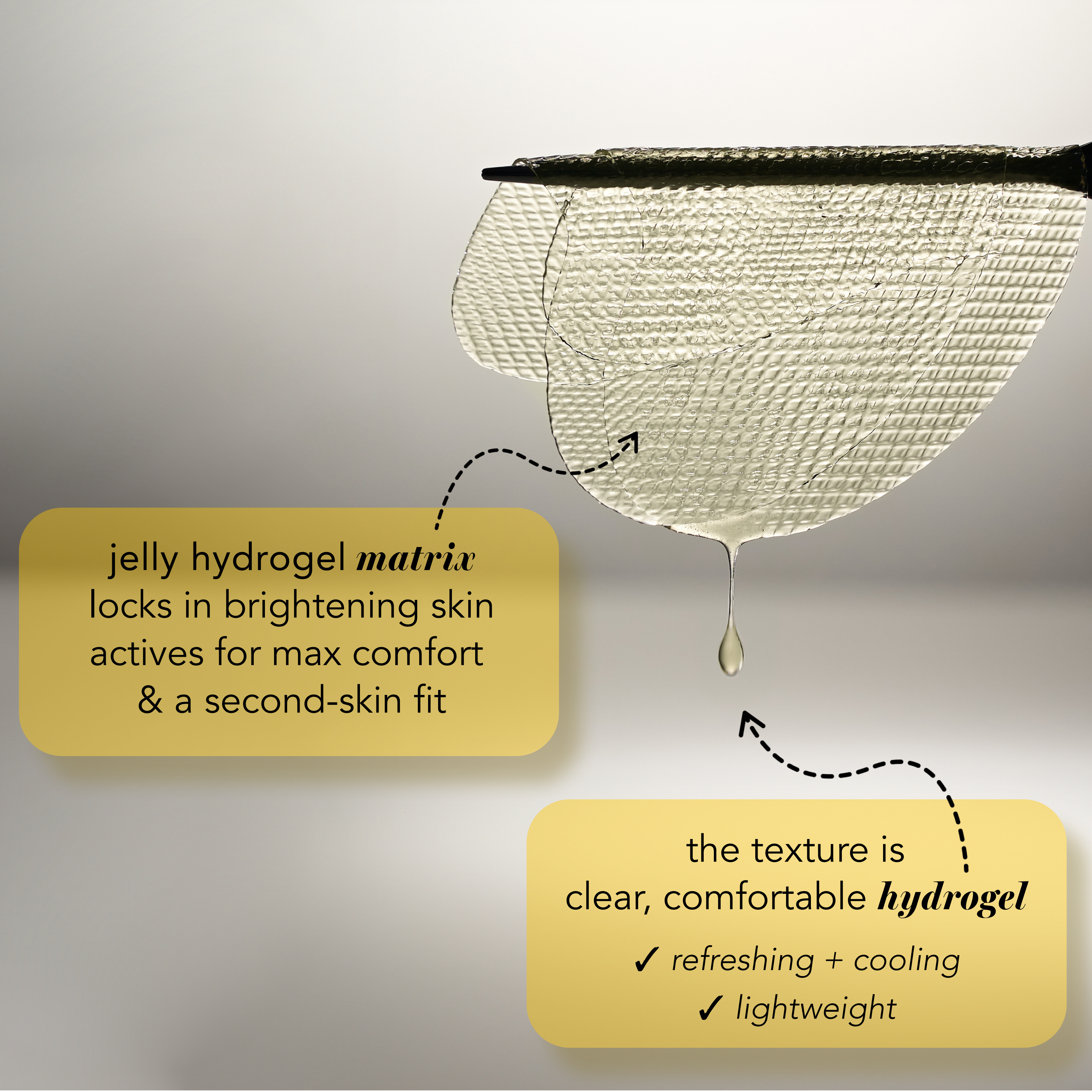 Textured jelly hydrogel matrix and text describing its properties on a light gray background
