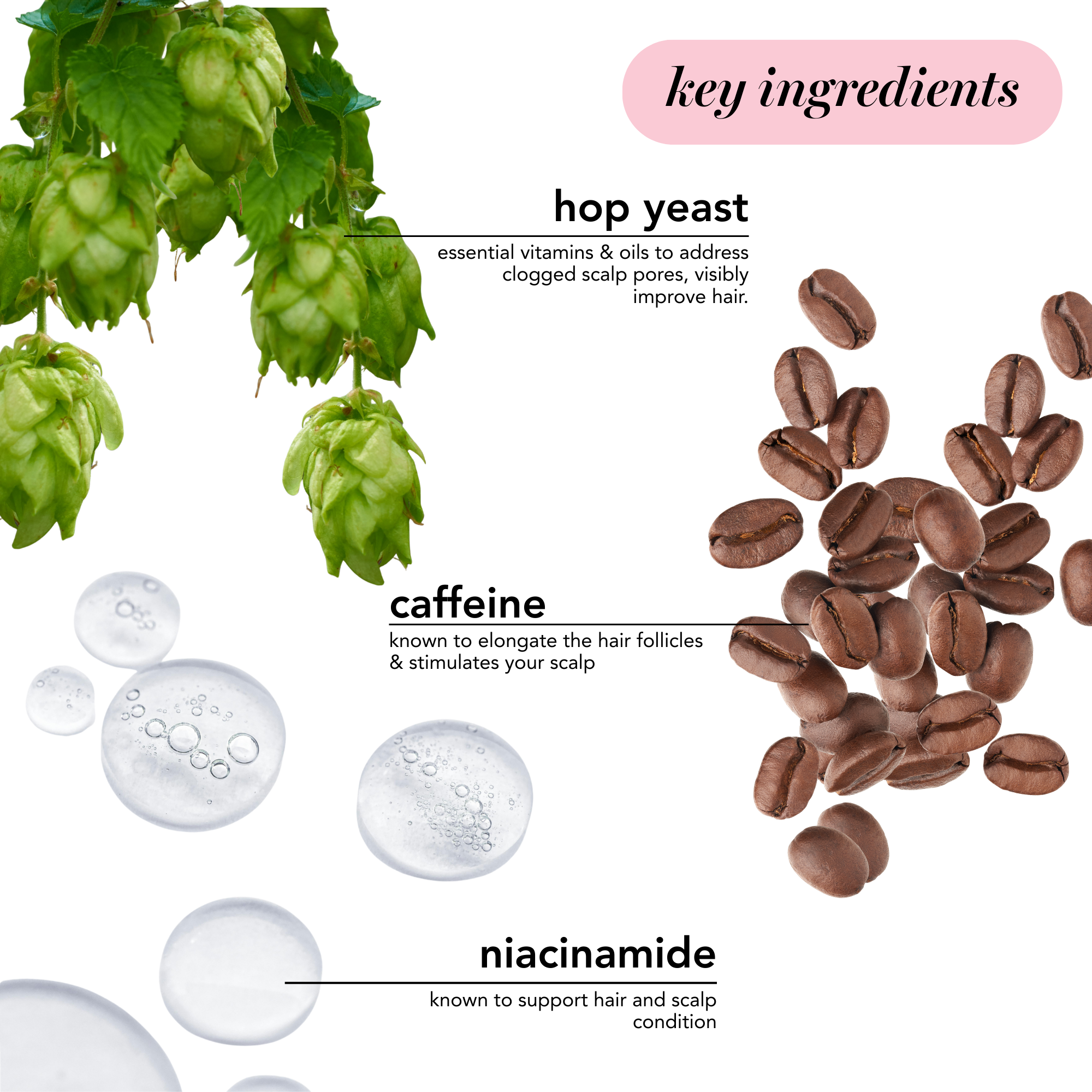 Scalp + Hair Strengthening Peptide Treatment 80ml